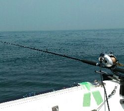 真鯛サビキリベンジ