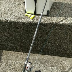 土佐市宇佐の中堤防にて（奥田釣具店さんの渡船利用）