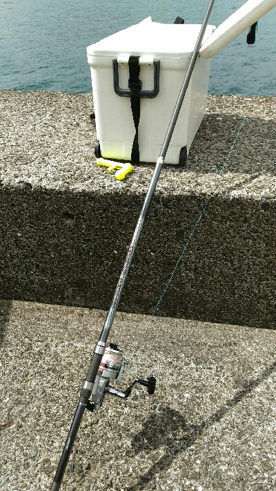 土佐市宇佐の中堤防にて（奥田釣具店さんの渡船利用）