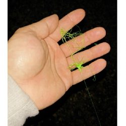 メバルが釣れない