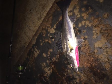 バチパターン難し!!