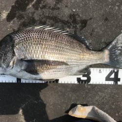 イチノ兄弟、釣果！