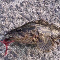 出張先の楽しみ②