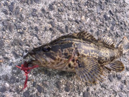 出張先の楽しみ②