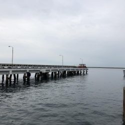 エビ撒きまくり