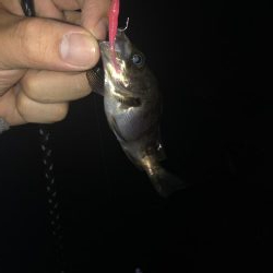 17日夜のべた凪で