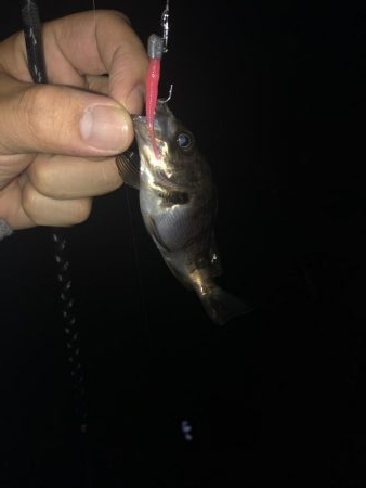 17日夜のべた凪で