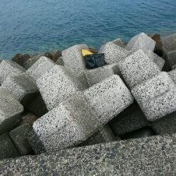 ゴールデンウィーク釣果2今日もいつもの。