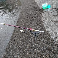 やっぱりイイ潮みたいです!!