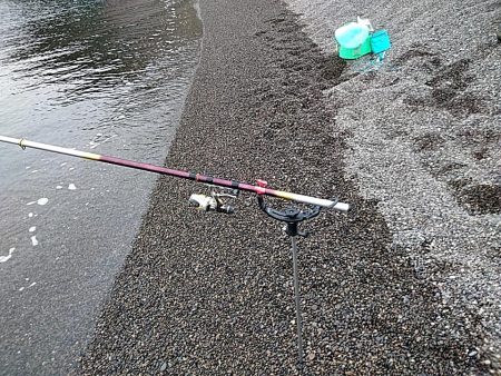 やっぱりイイ潮みたいです!!