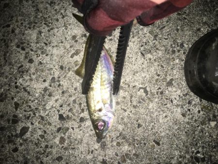 あー最高っす！