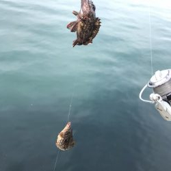 初釣行で釣り場調査