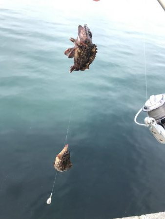 初釣行で釣り場調査