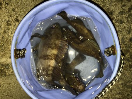 爆風メバリング