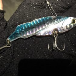 常連さんのいうとおり