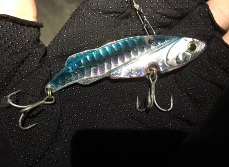 常連さんのいうとおり