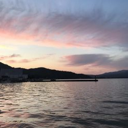 何イカだろう？