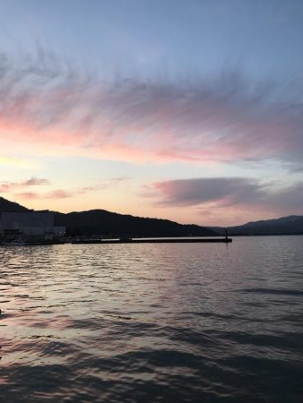 何イカだろう？