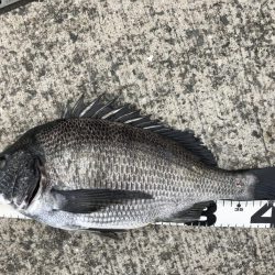 イチノ兄弟、釣果!