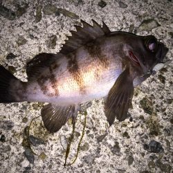 フロートメバリング