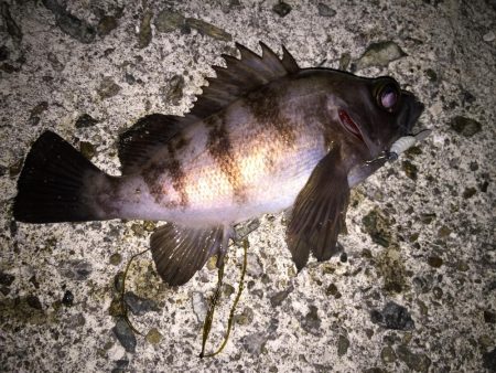 フロートメバリング