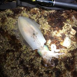 次はキロアップ