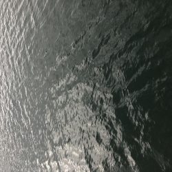 帰省釣行(津奈木町)