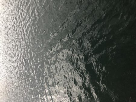 帰省釣行(津奈木町)