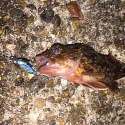 風が強かった！