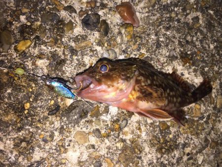 風が強かった！