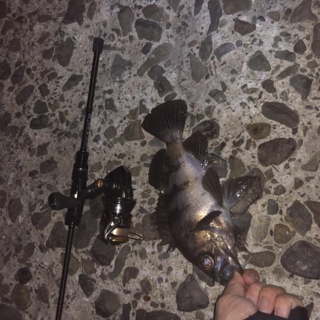 須磨メバリング