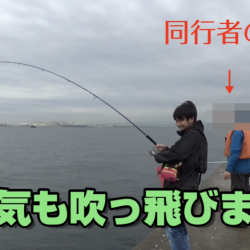 ポーアイ沖で初の青物！