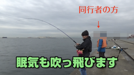 ポーアイ沖で初の青物！