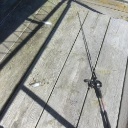 ウチノ海イカダでサビキ釣り