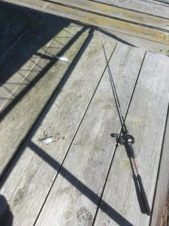 ウチノ海イカダでサビキ釣り