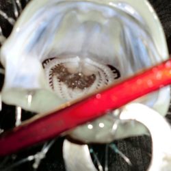 バチパターンでした。