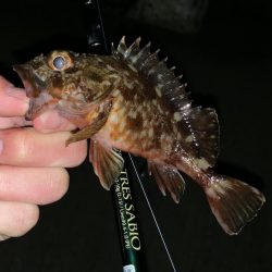 友人へのレクチャーで。