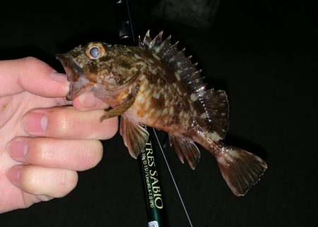 友人へのレクチャーで。