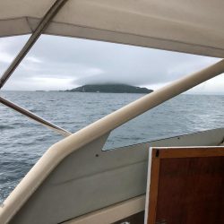 平成最期の釣行(船)