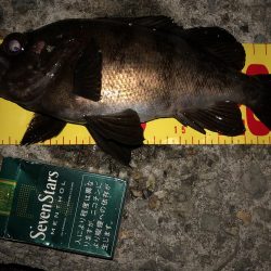 メバリングフィーバー!