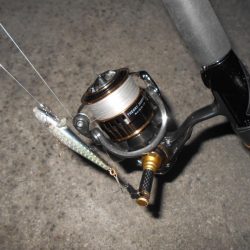 風向きで極端に変わる…