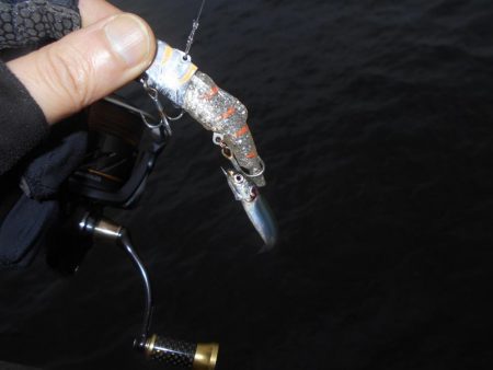 出勤前にちょこっとデイゲーム