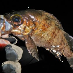 雨降ってきて終了