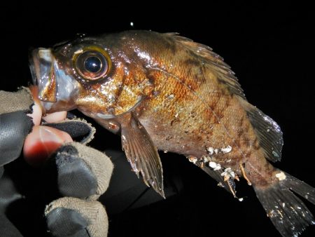雨降ってきて終了