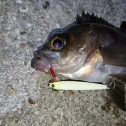 今夜は活性高め？！