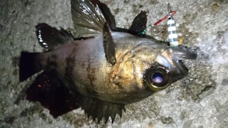 爆風X向かい風Xメバリング