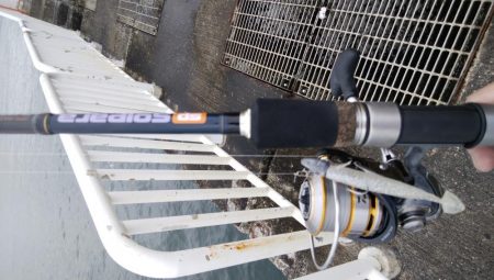 平成最終日の釣行