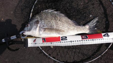 久しぶりの晴天釣り日和