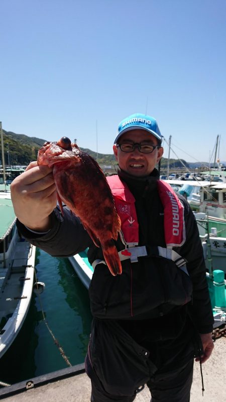 泉州丸で鯛の試し釣り