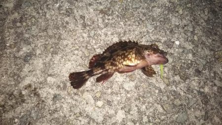 満月ライトゲーム